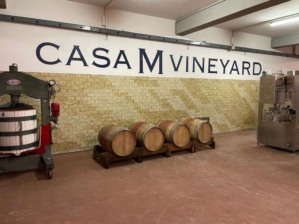 Casa M Tuscany Кьянчано-Терме Экстерьер фото